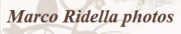 Marco Ridella