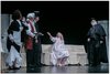 LE CAMELIE039