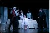 LE CAMELIE042