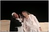 LE CAMELIE011